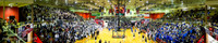 20160319-IMG_4754-Pano