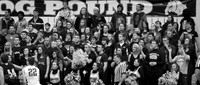 20130301-IMG_7338