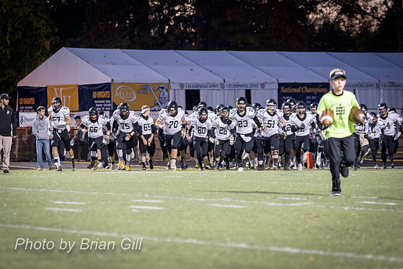 20161104-BG7D3291